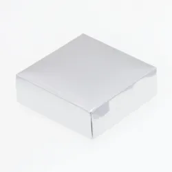 Truffle Box; Shiny Silver Folding Lid